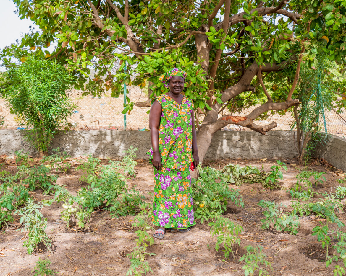 Aissatou Diouf-jardin potager-diagane barka-mars-2023