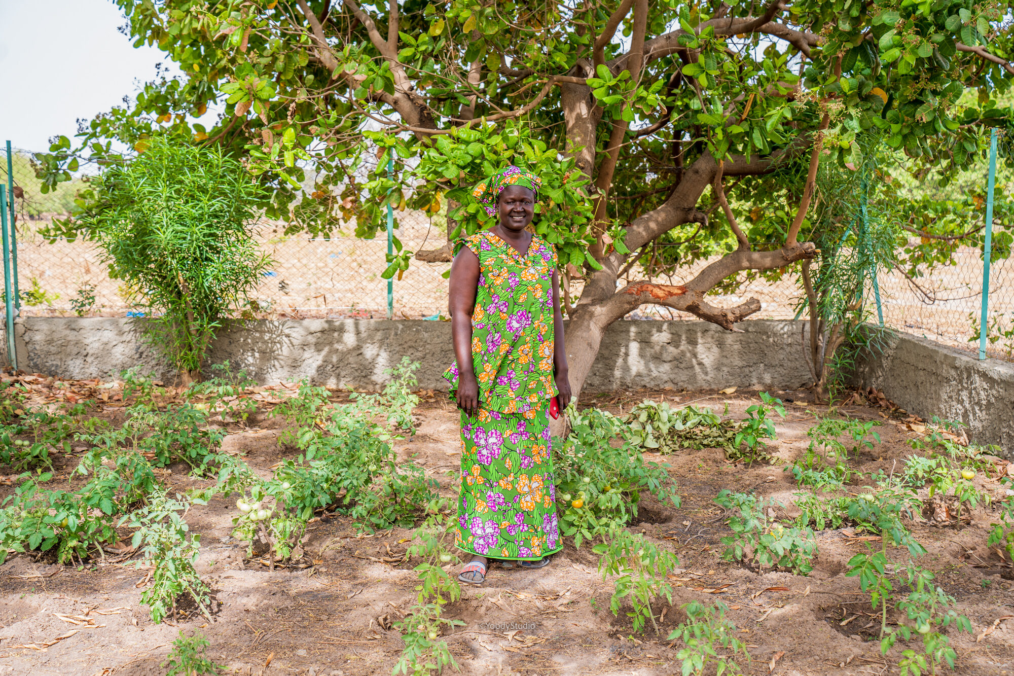 Aissatou Diouf-jardin potager-diagane barka-mars-2023