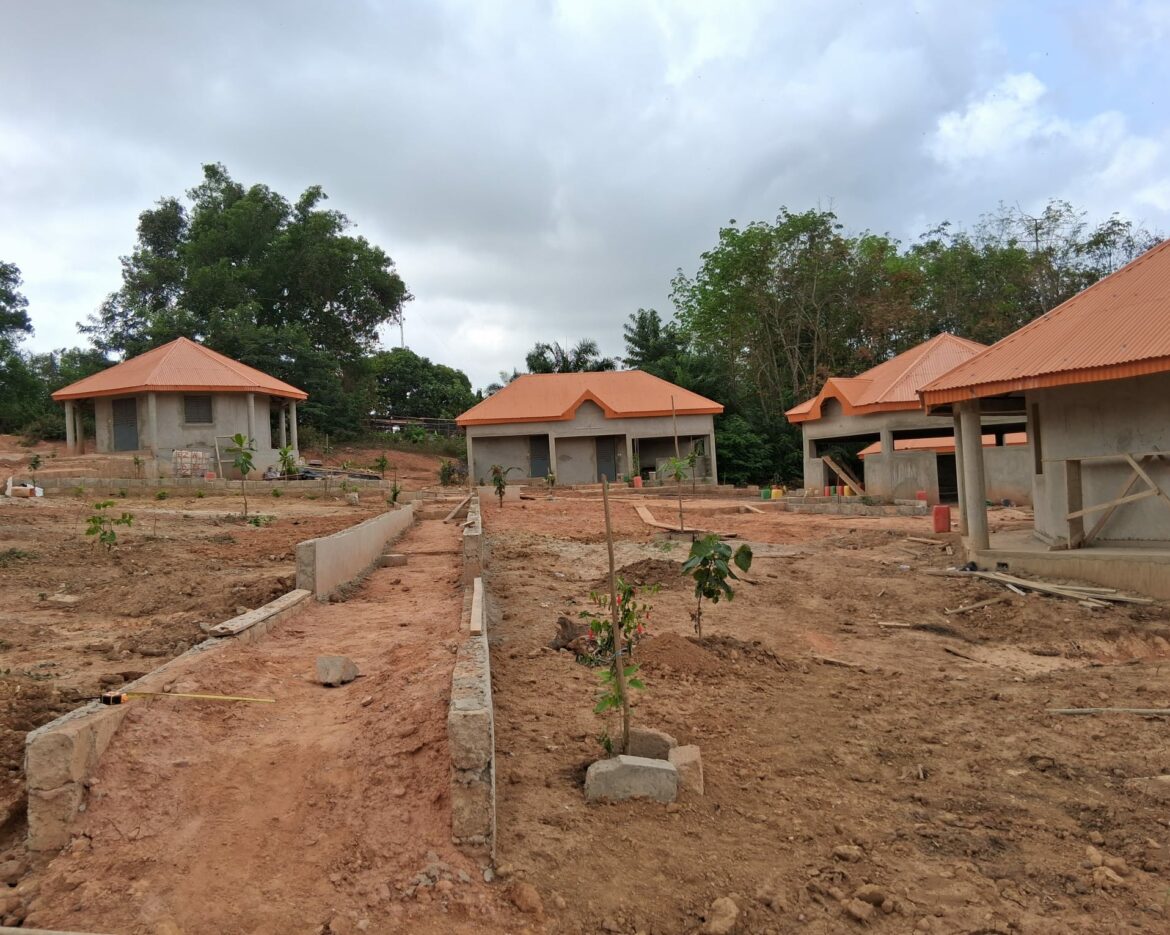 PHOTO-2026-02-25-12-20-59